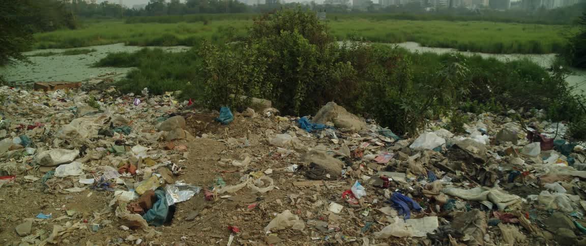 Birds fly over river and garbage covered ground a distance from city downtown