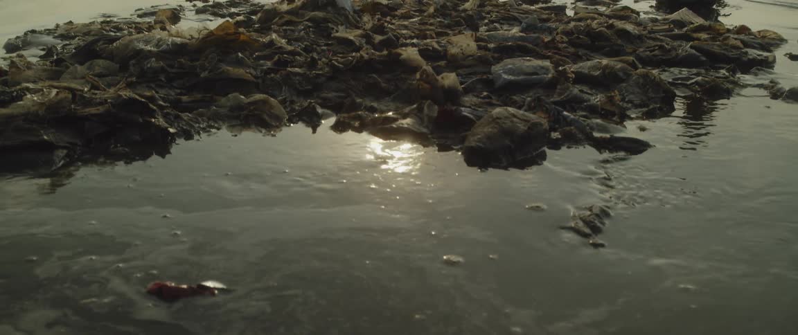 The beach is littered with trash