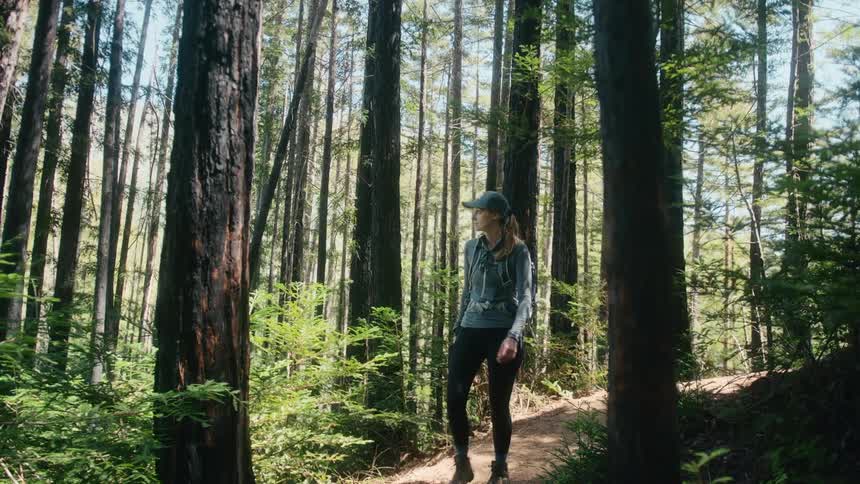 Woman hikes along path through forest alone