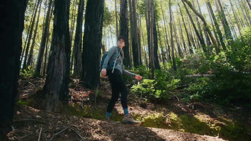 Woman hikes along sloping path through woods on sunny day