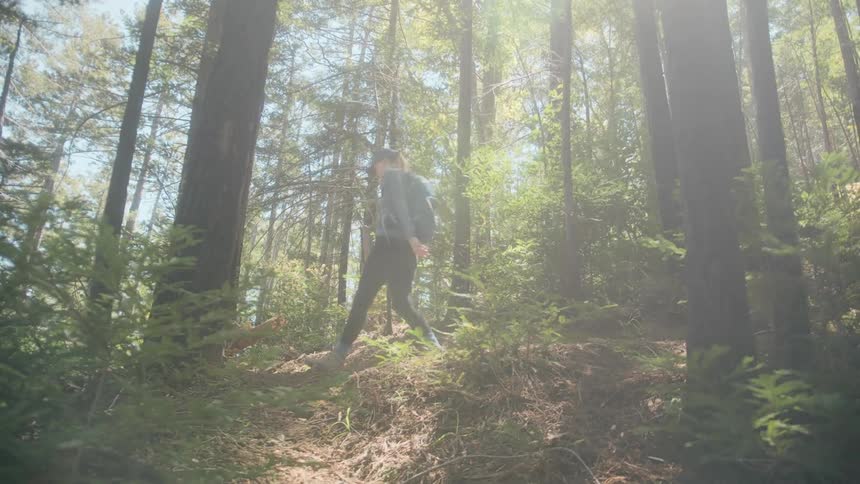 A woman is hiking in the forest