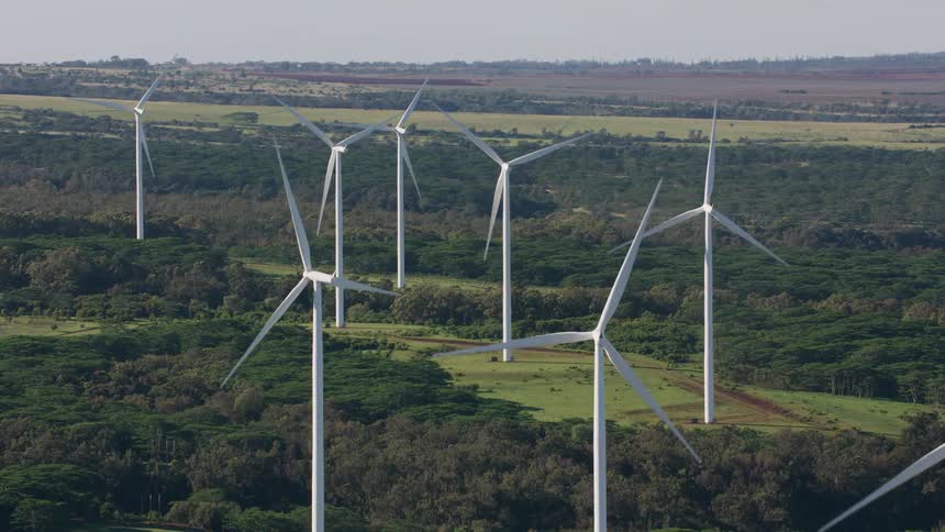 A modern wind farm surrounded by a forest