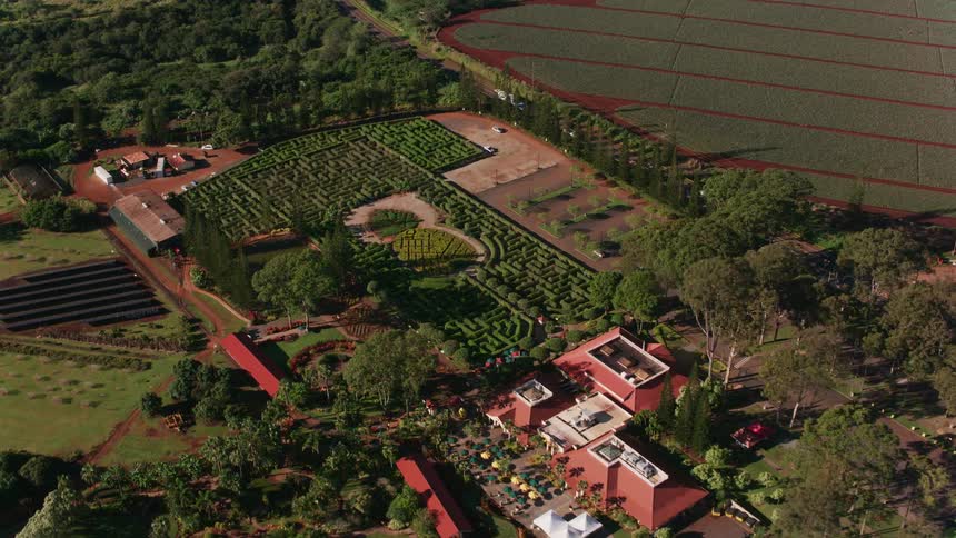 A hedge maze is on the farm