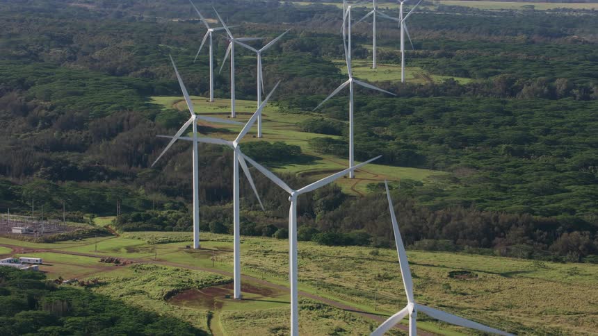 The view is of the forest area around the day time