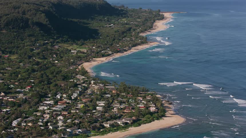 Drone view of a coastal suburban neighborhood with dense forests and trees
