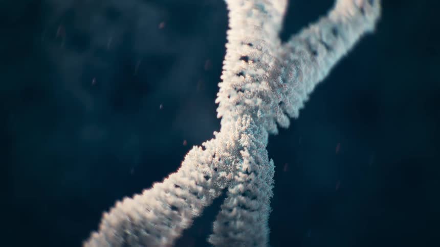 A closeup of a chromosome