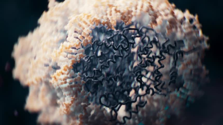 A microscopic Nucleosome(DNA + Histone) turning and revolving