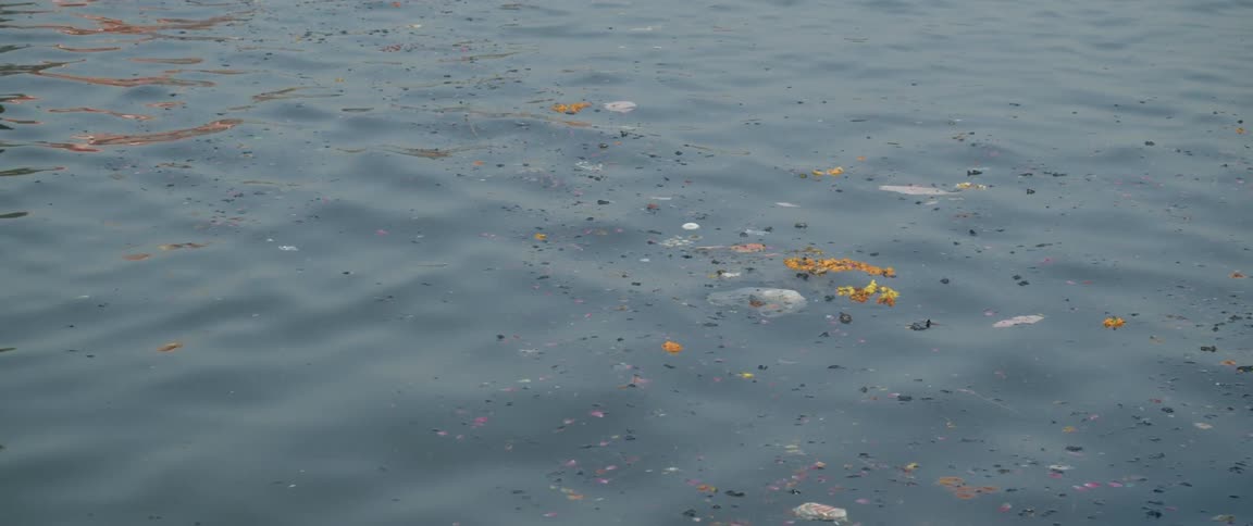 Body of polluted water on the coast