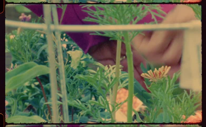 An old video of someone using a trowel to care for plants