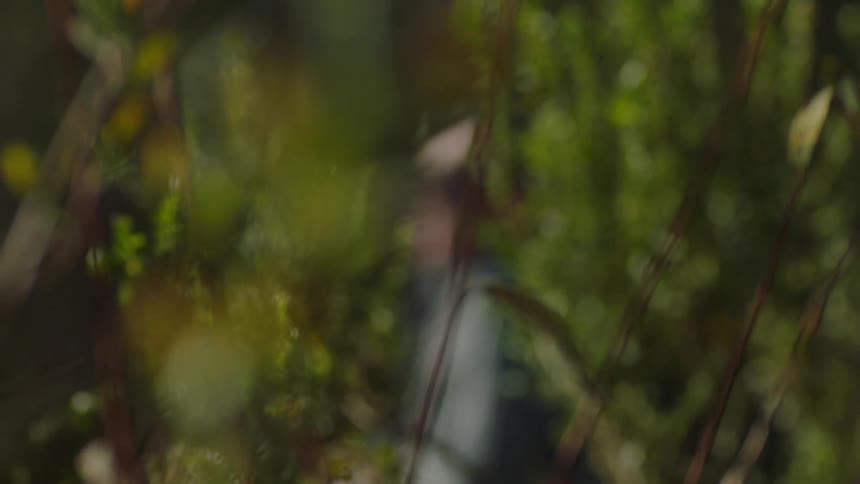 The sun shines upon a man standing in the woods wearing a jacket and sunglasses