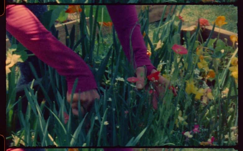 Woman gardens in raised flowerbed
