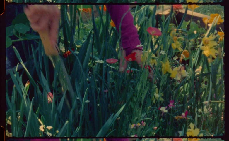 A woman works on her flower bed outside