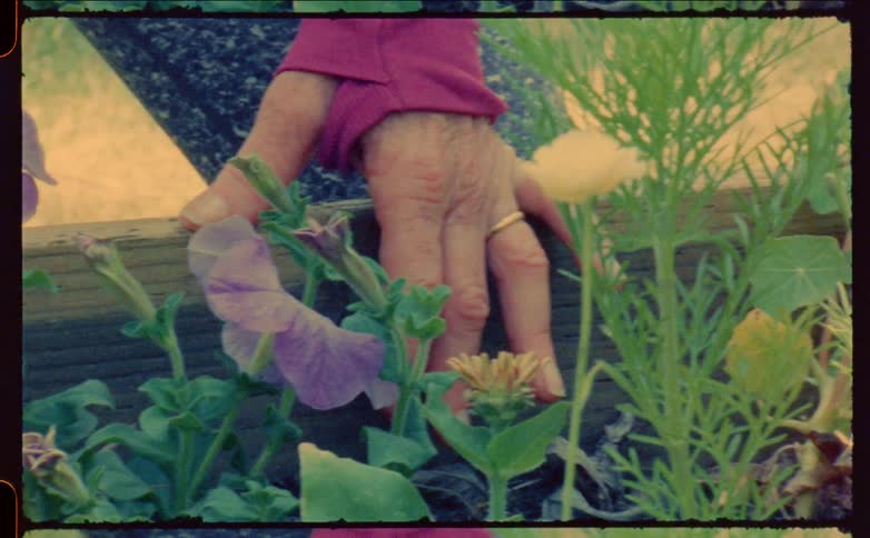 Woman tends to flowers in the yard
