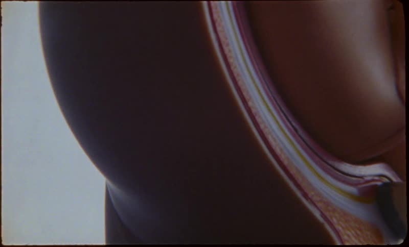 A closeup of a section of an anatomical pregnancy model