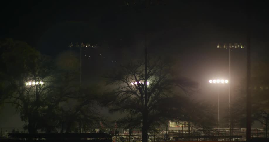 Moths flying around bright stadium lights at night
