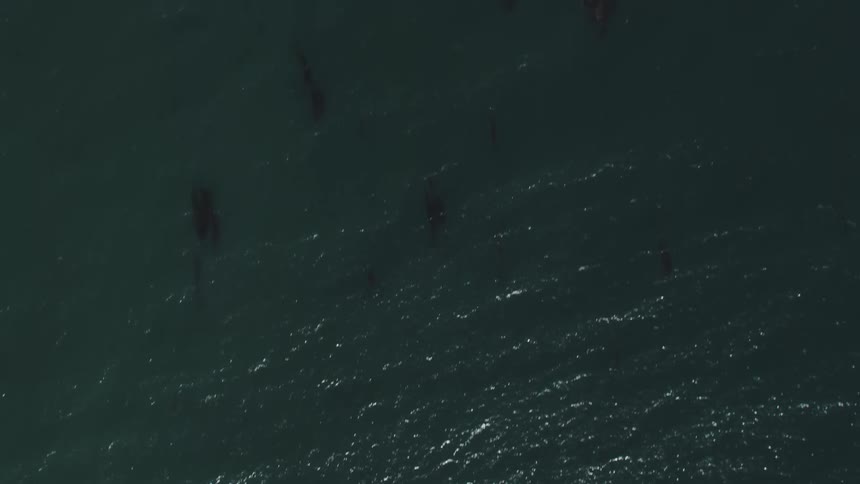 Oil floats across waves flowing across surface of ocean near islets