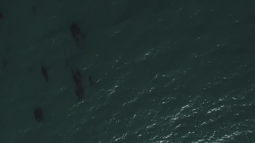 An aerial of the ocean surface as light reflects off it