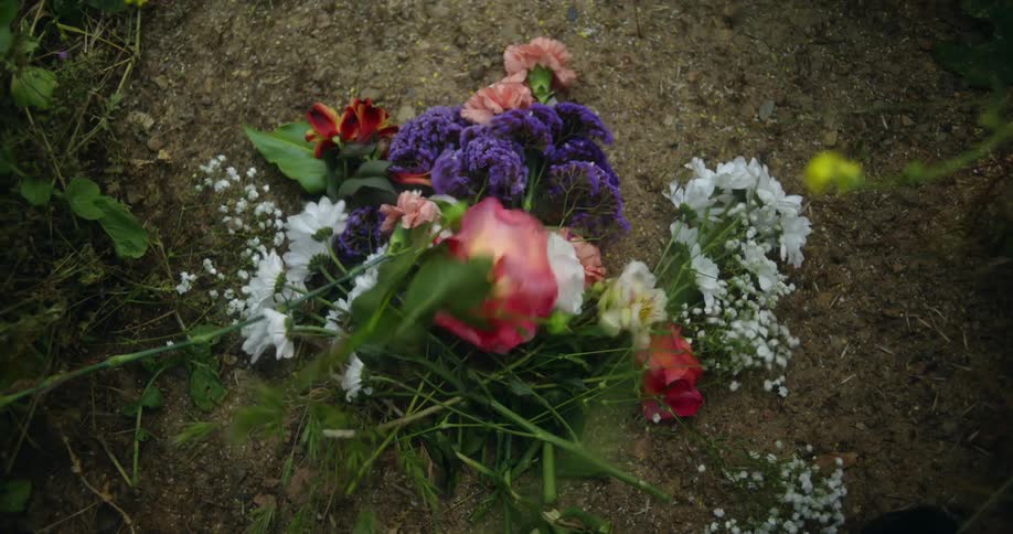 Flowers on single stems piled on the ground as more are dropped on the pile