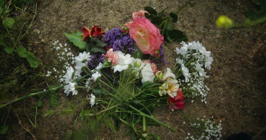 Flowers fall into a pile of other flowers on a dirt floor
