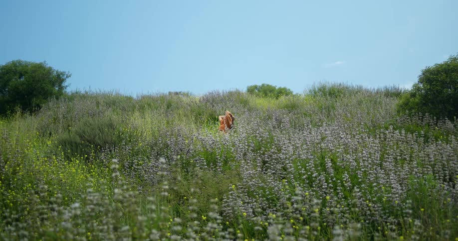 Woman stretches on a field of wild lavender flowers under a blue sky