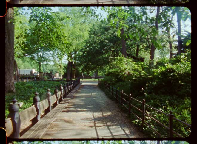 The sun shines upon a footbridge as the trees move in the breeze