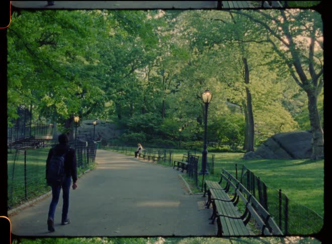 Landscape of green public park with benches