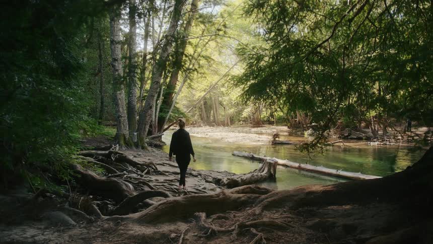 A woman walks along the bank through tree roots to a river