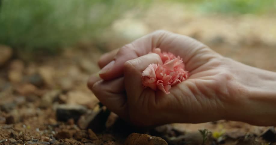 Close up of the hand of a woman crushing a flower over the ground
