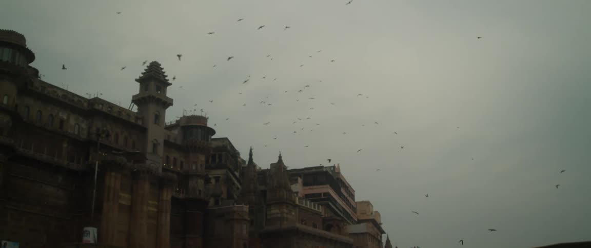 Large flock of birds flies over large historic building under an overcast sky