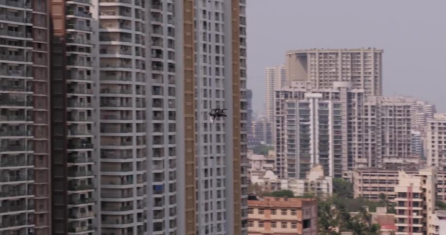 Two birds fly together over a city passing in front of a skyscraper