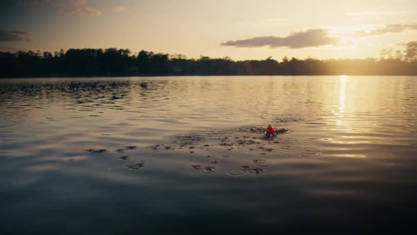A fishing line is reeled in