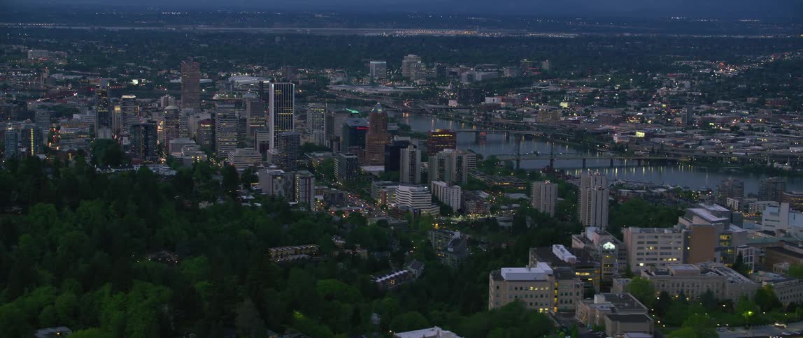 The view is of the downtown area and you can see buildings