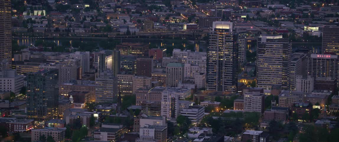 The view is of the downtown area and you can see buildings