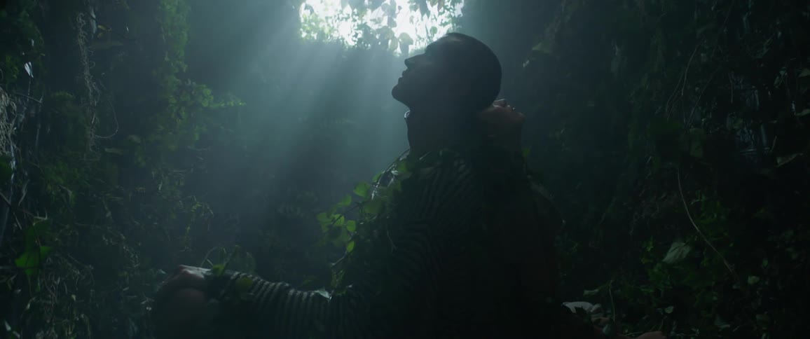 A man and woman sit back to back in the vines