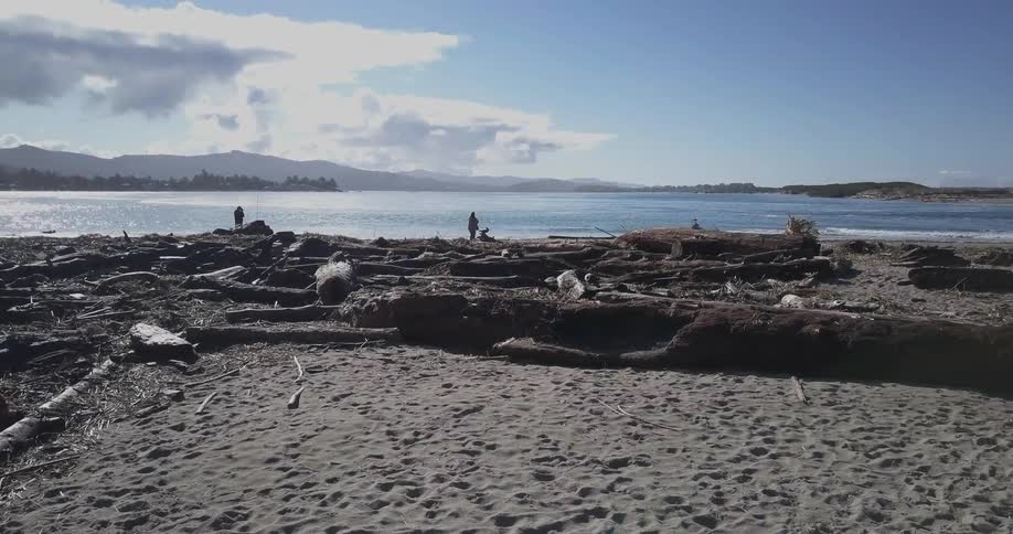 Two people are on a coastline littered with driftwood