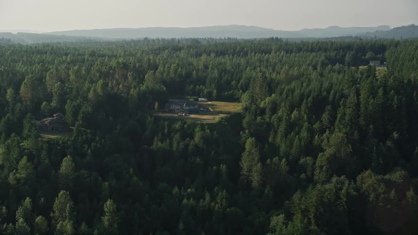 Aerial footage of luxurious homes nestled among tall trees in the beautiful Carnation Washington