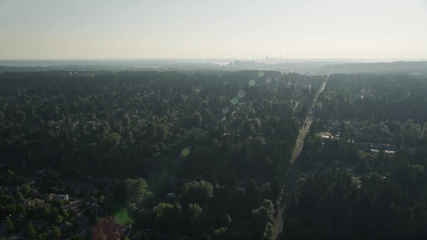 Aerial view of a hazy suburban neighborhood with tree-lined streets as it approaches Downtown Bellevue Washington on a sunny day