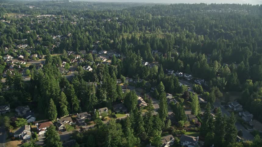Aerial footage of a sunny residential neighborhood nestled among evergreen trees in Sammamish Washington