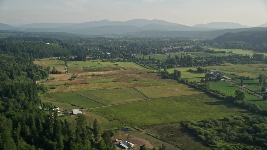 Flying over a sunny evergreen forest showcases the wide expanse of farmland and homes in Carnation Washington