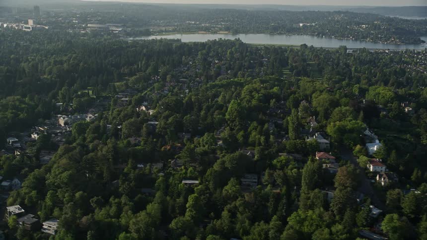 A mesmerizing aerial view of residential neighborhoods nestled among lush green trees in Madrona Washington on a sunny day
