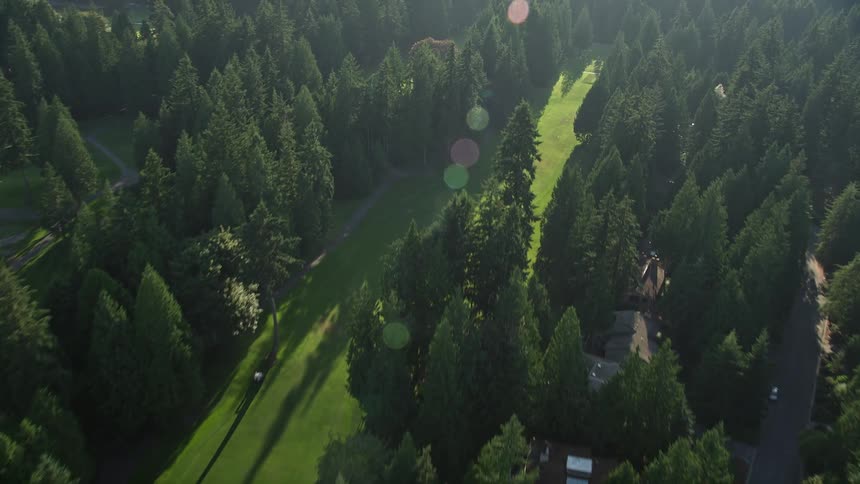 Aerial view of luxurious homes surrounded by lush greenery in Sammamish Washington on a sunny day