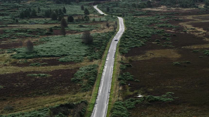 A huge open area with several trees has a single road in the middle of it which shows a car driving down it from an aerial view