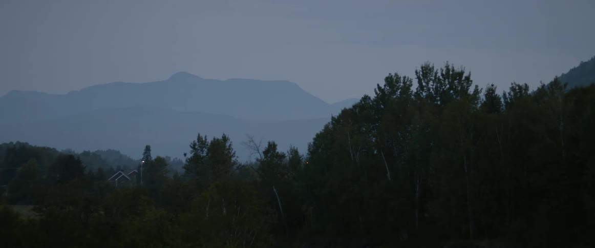 Buildings stand in wooded area near foggy mountains