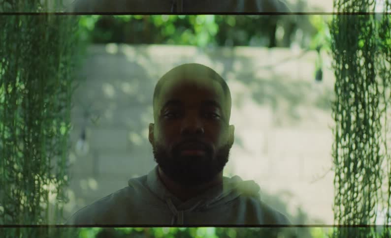 Face of a bearded man around leaves partially occluded by moving lights