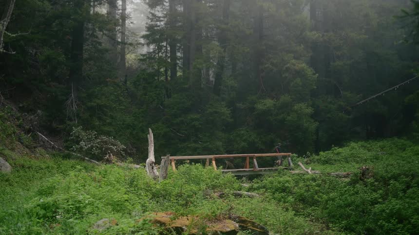 A hiker walks across a footbridge near the woods