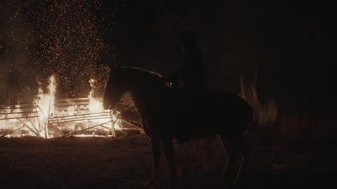A horse stands up by a large fire at night