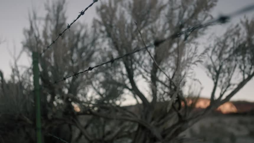 A barb wire fence lines this desert