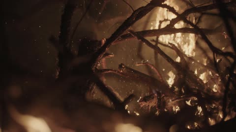 Branches and twigs are burning