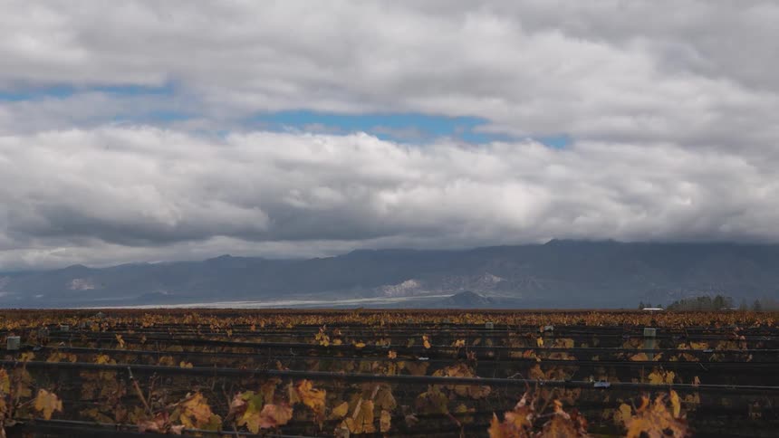 A time lapse of clouds moving over a grape vine farm in Mendoza and the Andes mountain range in the background