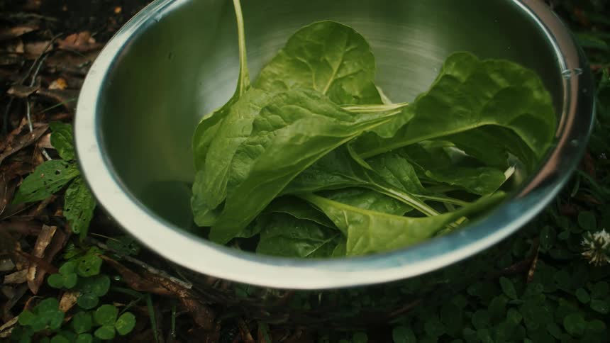 Lettuce leaves are dropped into a metal bowl